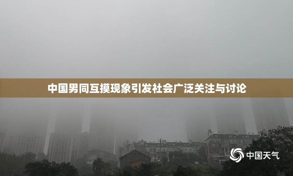 中国男同互摸现象引发社会广泛关注与讨论