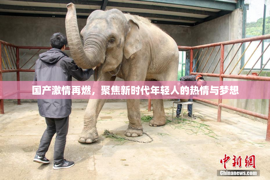 国产激情再燃，聚焦新时代年轻人的热情与梦想