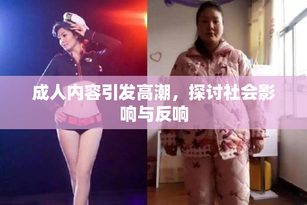 成人内容引发高潮，探讨社会影响与反响