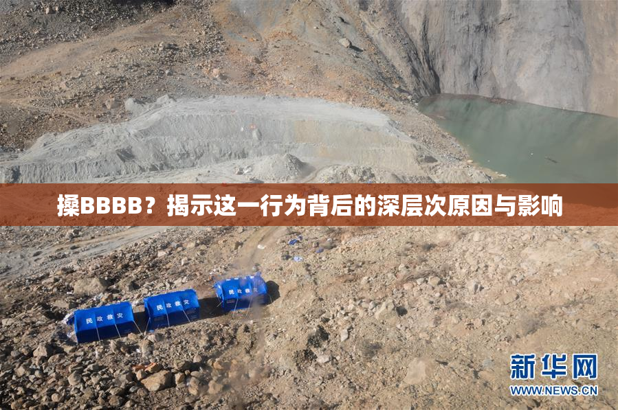 搡BBBB？揭示这一行为背后的深层次原因与影响