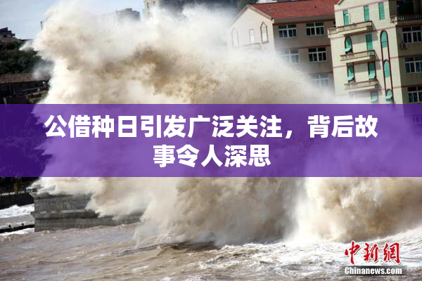公借种日引发广泛关注，背后故事令人深思