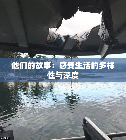 他们的故事：感受生活的多样性与深度