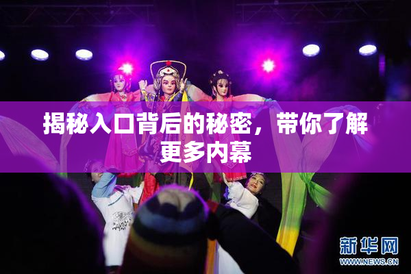 揭秘入口背后的秘密，带你了解更多内幕