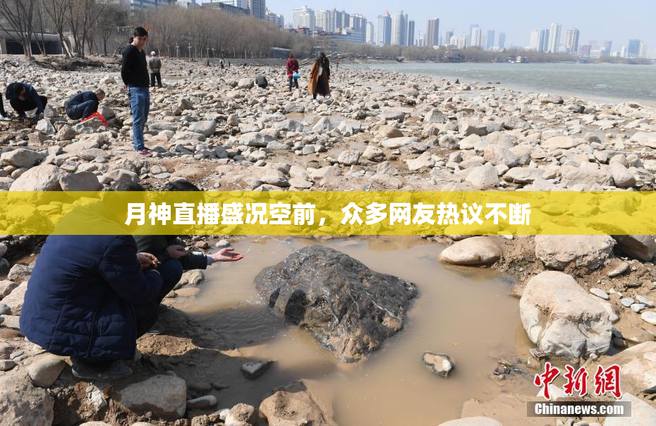 月神直播盛况空前，众多网友热议不断