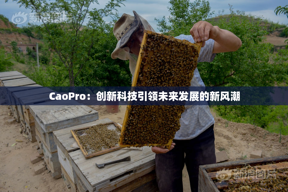 CaoPro：创新科技引领未来发展的新风潮