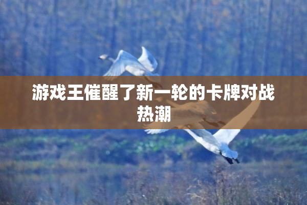 游戏王催醒了新一轮的卡牌对战热潮