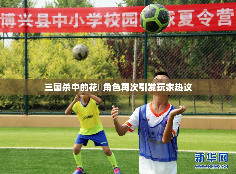 三国杀中的花鬘角色再次引发玩家热议