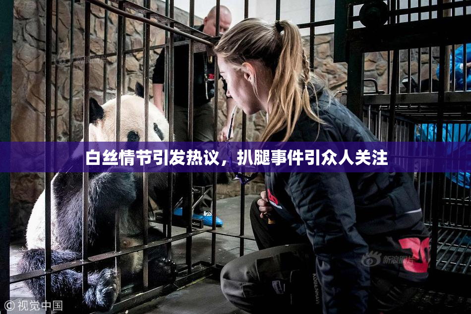 白丝情节引发热议，扒腿事件引众人关注