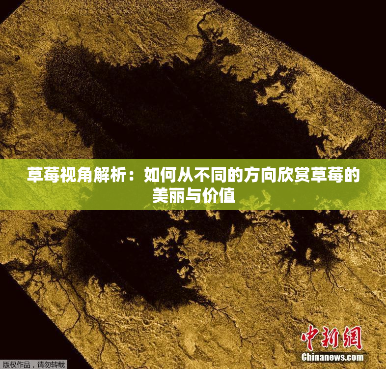 草莓视角解析：如何从不同的方向欣赏草莓的美丽与价值
