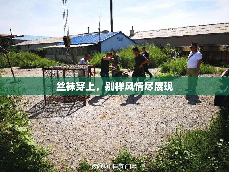 丝袜穿上，别样风情尽展现