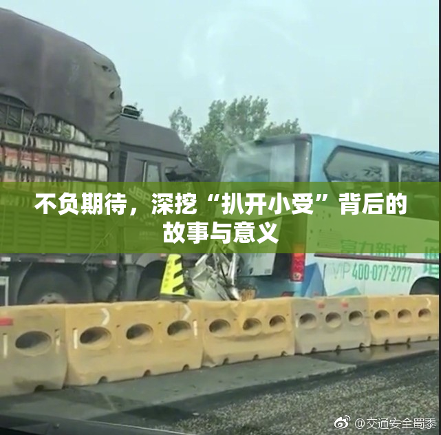 不负期待，深挖“扒开小受”背后的故事与意义