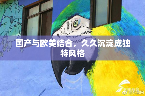 国产与欧美结合，久久沉淀成独特风格