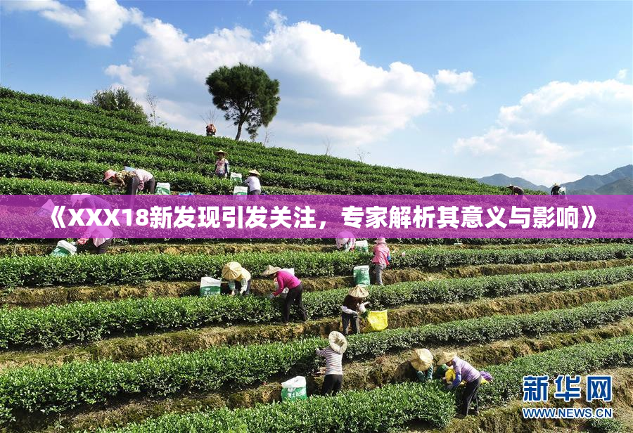 《XXX18新发现引发关注，专家解析其意义与影响》