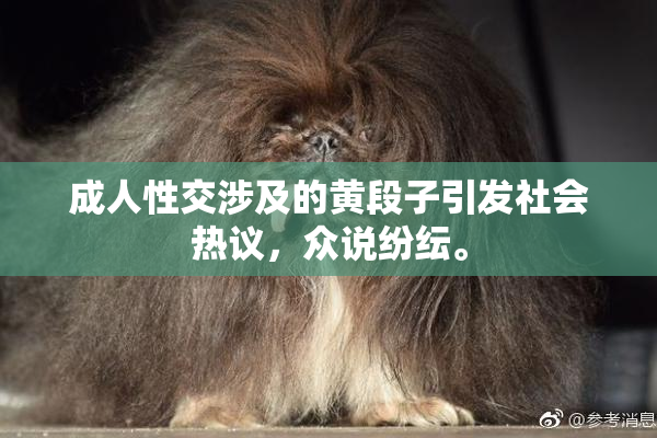 成人性交涉及的黄段子引发社会热议，众说纷纭。