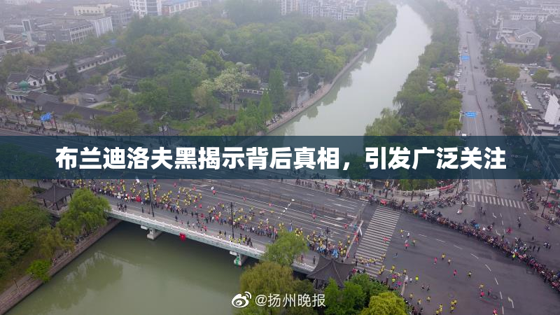 布兰迪洛夫黑揭示背后真相，引发广泛关注