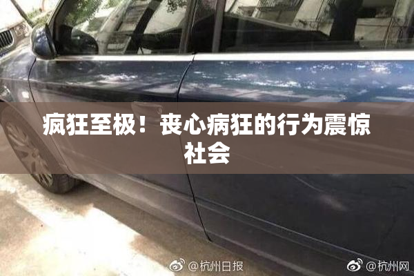 疯狂至极！丧心病狂的行为震惊社会
