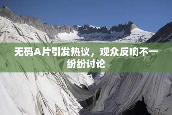无码A片引发热议，观众反响不一纷纷讨论
