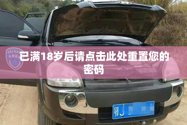 已满18岁后请点击此处重置您的密码