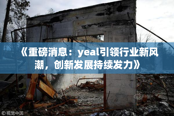 《重磅消息：yeal引领行业新风潮，创新发展持续发力》