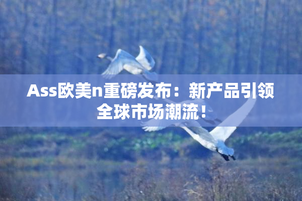 Ass欧美n重磅发布：新产品引领全球市场潮流！
