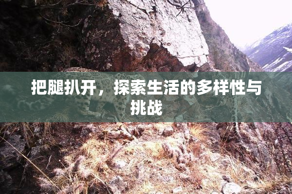 把腿扒开，探索生活的多样性与挑战