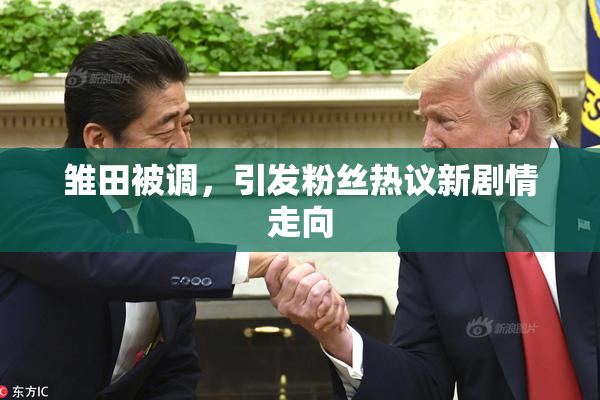 雏田被调，引发粉丝热议新剧情走向