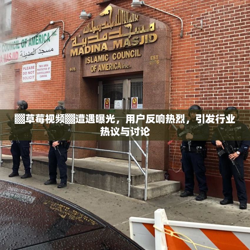 ▓草莓视频▓遭遇曝光，用户反响热烈，引发行业热议与讨论