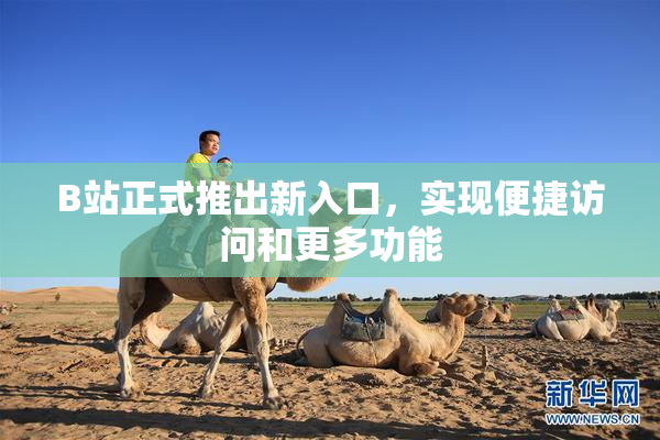 B站正式推出新入口，实现便捷访问和更多功能