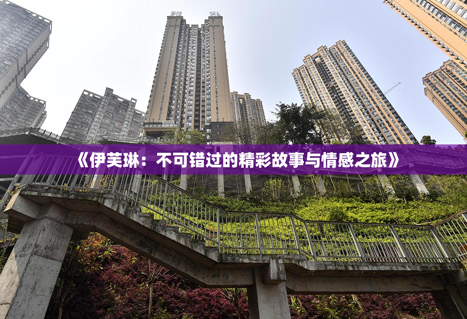 《伊芙琳：不可错过的精彩故事与情感之旅》