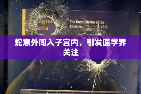 蛇意外闯入子宫内，引发医学界关注