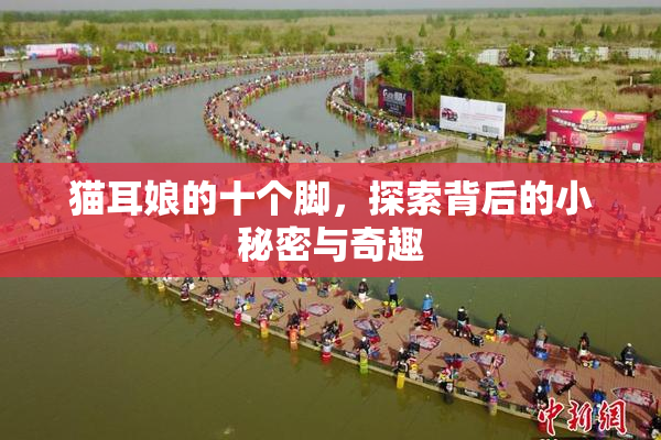 猫耳娘的十个脚，探索背后的小秘密与奇趣