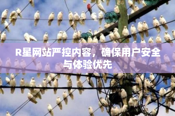 R星网站严控内容，确保用户安全与体验优先