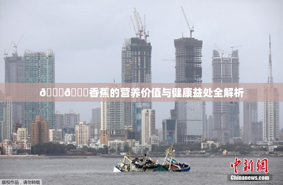 🔞🔞香蕉的营养价值与健康益处全解析