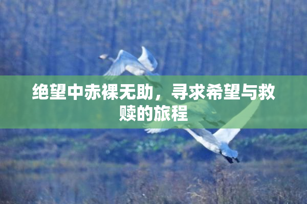 绝望中赤裸无助，寻求希望与救赎的旅程