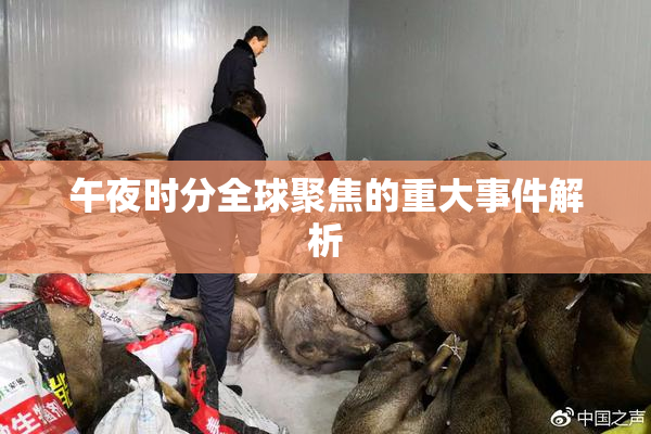 午夜时分全球聚焦的重大事件解析