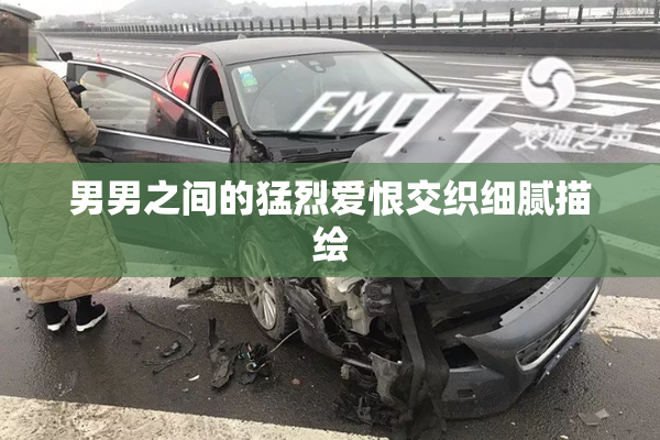 男男之间的猛烈爱恨交织细腻描绘