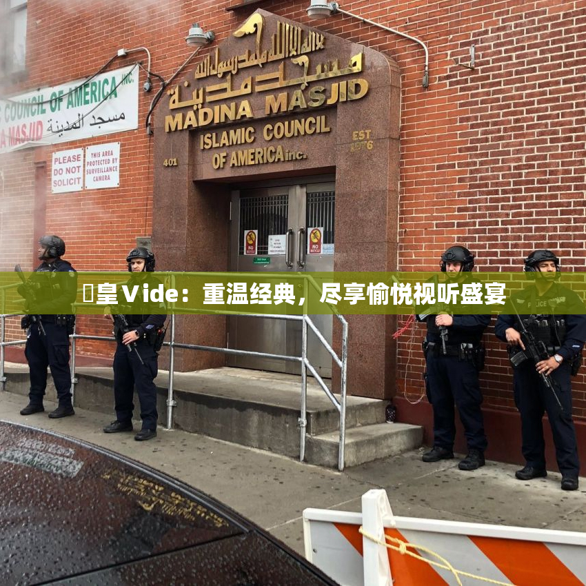 嘼皇Ⅴide：重温经典，尽享愉悦视听盛宴