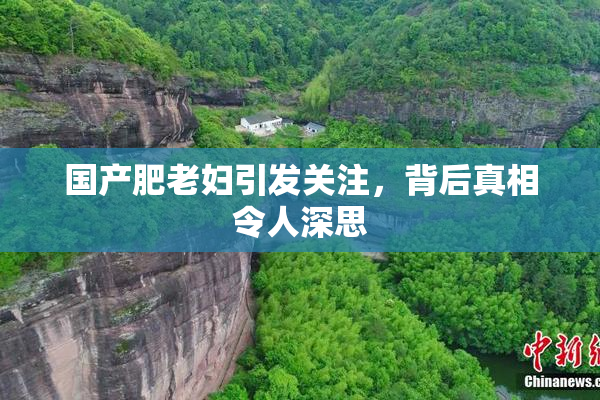 国产肥老妇引发关注，背后真相令人深思