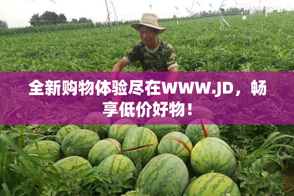 全新购物体验尽在WWW.JD，畅享低价好物！