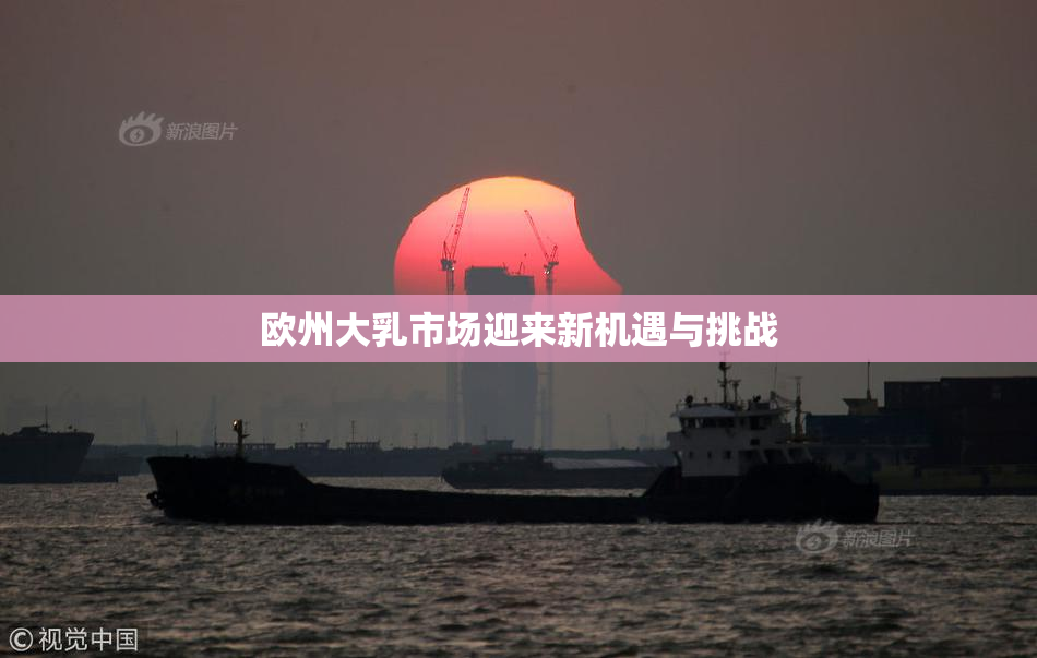欧州大乳市场迎来新机遇与挑战