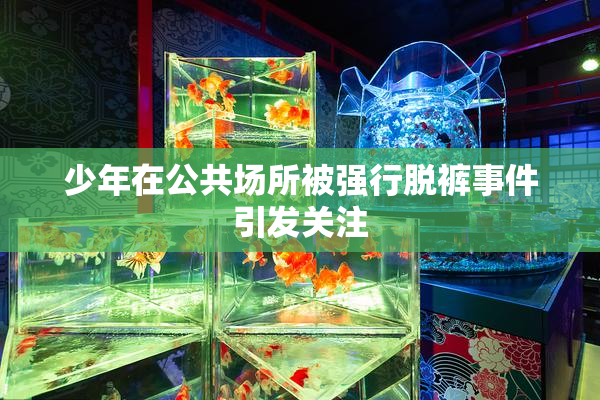 少年在公共场所被强行脱裤事件引发关注