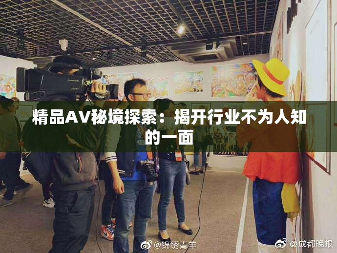 精品AV秘境探索：揭开行业不为人知的一面
