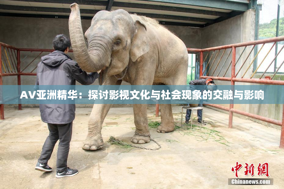 AV亚洲精华：探讨影视文化与社会现象的交融与影响