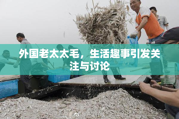 外国老太太毛，生活趣事引发关注与讨论