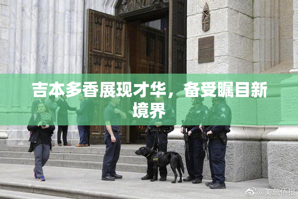 吉本多香展现才华，备受瞩目新境界