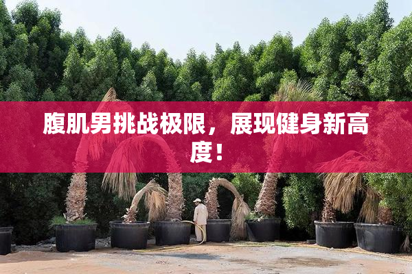 腹肌男挑战极限，展现健身新高度！