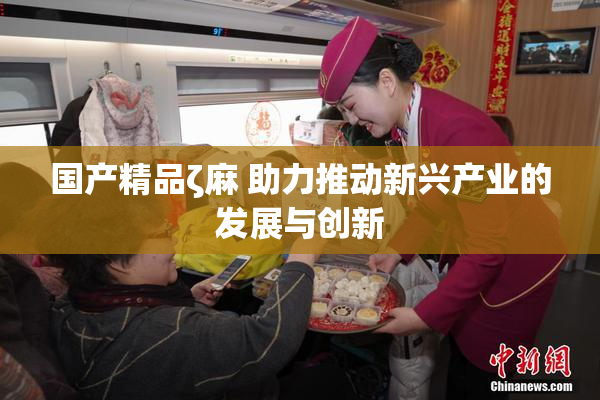 国产精品ζ麻 助力推动新兴产业的发展与创新