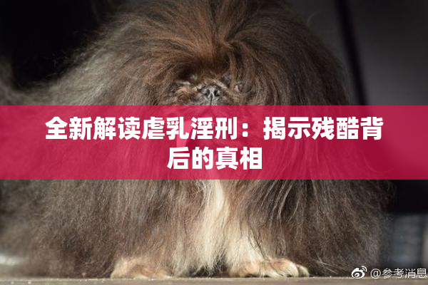 全新解读虐乳淫刑：揭示残酷背后的真相