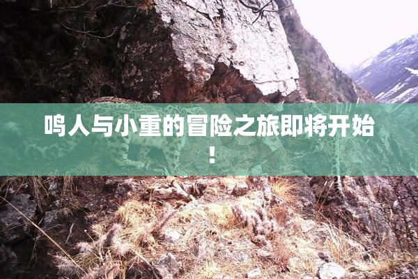 鸣人与小重的冒险之旅即将开始！