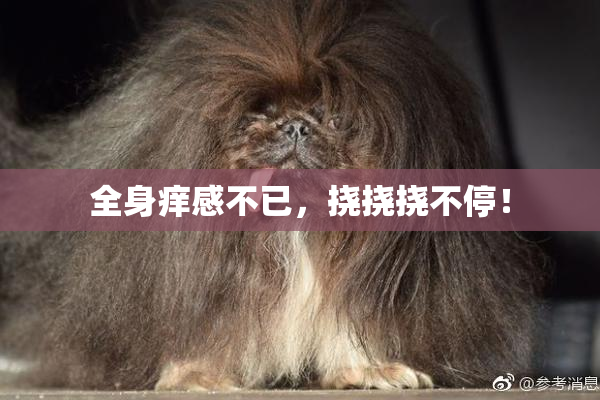 全身痒感不已，挠挠挠不停！